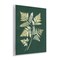 Stupell Industries Fern Leaves on Green Wall Plaque Art Design by JJ Design House LLC